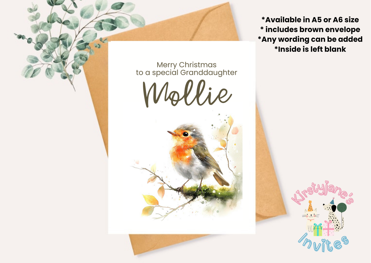 Christmas Xmas Birthday greetings Card robin