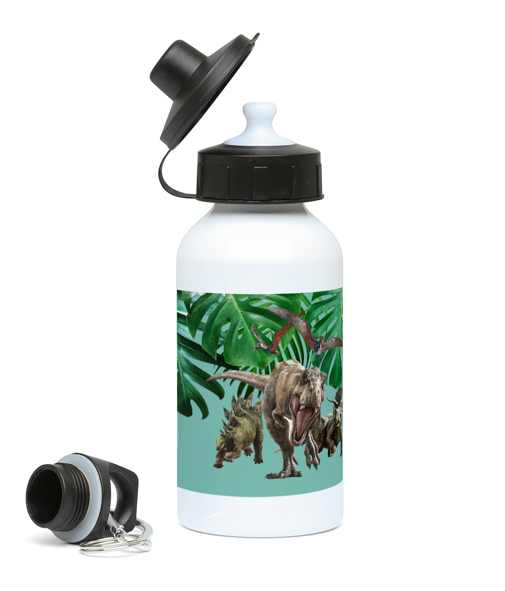 Personalised 400ml Aluminium drinks bottle Jurassic World